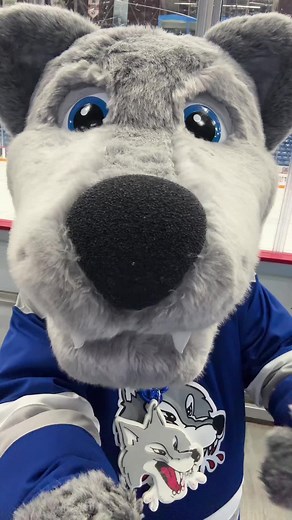 Howlers bday incoming #painallinmyeyes #playboycarti #carnival #sudburywolves