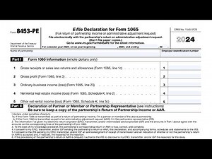 IRS Form 8453-PE walkthrough (E-file Declaration for Form 1065)