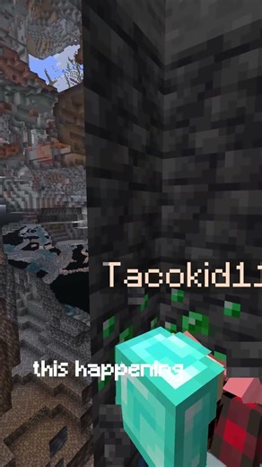 I lost 2 deepslate emerald ore