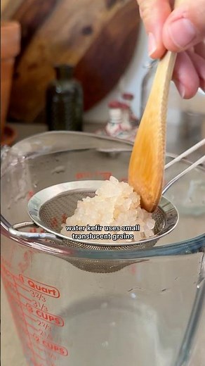 Kombucha vs Water Kefir