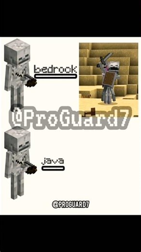 Skeleton.java×Bedrock.#7x7