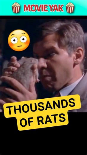 Movie Yak on Instagram: "INDIANA JONES and the Secret of the RATS! Behind the scenes of Indiana Jones and the Last Crusade, there were thousands of rats running around the set! But where did they come from? And weren't the actors worried? #indianajones #movie #behindthescenes #movies #behindthescene #movietrivia #stevenspielberg #georgelucas #didyouknow #80s #1980s #80smovies #moviefacts #harrisonford #moviescenes #shorts"