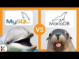 🌊 MySQL VS MariaDB - ¿Cuál es mejor?