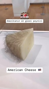 131K views · 1.6K reactions | What kind of cheese is this?  | Cartoon Connect | Facebook