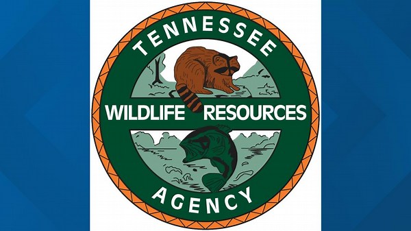 TWRA identifies 82-year-old man killed after being thrown from boat on Melton Hill Lake