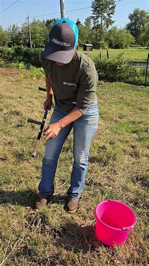What is happening below your pasture? Schedule a free soil test and find out!