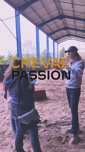 « Cheval Passion, depuis 40 ans, ça représente quoi pour vous en tant qu’artiste ? » 🎤 Frédéric Pignon nous partage avec émotion son attachement profond à cet événement emblématique. Pour lui, Cheval Passion, c’est bien plus qu’un salon : c’est un lieu de retrouvailles, de transmission et d’amour du cheval. Artiste visionnaire, Frédéric a toujours placé la relation homme-cheval au cœur de son art, un langage de respect, de confiance et de liberté, forgé au fil des années et des tournées à trave