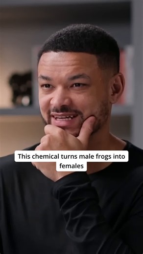 Frogs turning female? 🐸 Atrazine is wild! What do you think about this herbicide? 🤔 #Atrazine #Sci Discover the shocking effects of atrazine, the herbicide that could be altering male frogs into females. This eye-opening video dives into a groundbreaking UC Berkeley study revealing the chemical's impact on wildlife and its alarming implications for human health. Learn why this controversial topic deserves our attention! #Atrazine #Sci #shorts #clip #youtubeshorts #lifeadvice #motivation #menta