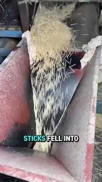 From Massive Logs to Tiny Sticks #Matches #Process #Industry #Curiosities #Explore