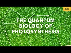 The Quantum Biology of Photosynthesis: How Plants Harvest Light with Quantum Efficiency | 4K Video