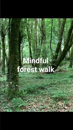 Mindful Forest Walk🌲Forest Walk Meditation Part 3
