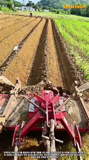 작물 생육 환경을 높이는 트랙터 두둑 형성 작업 가이드 #worker #process #soil #plowing #cultivation