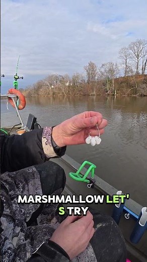 Can you catch fish on marshmallow? #fishing #catfishguide #catfishingtips
