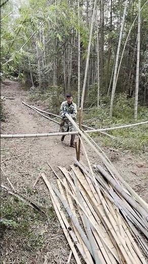 Split Bamboo in 3 Steps: Quick Tips for Beginners