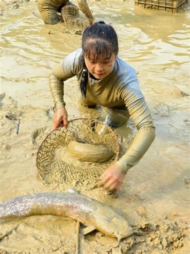 Essential Tips for Bushcraft Harvesting and Gardening