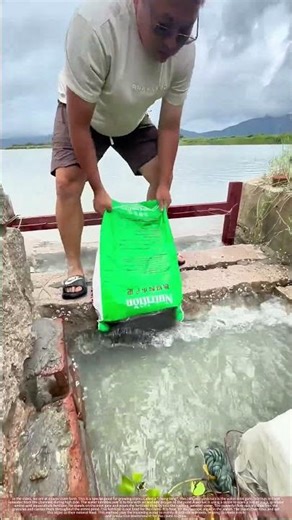 Fertilizing a Clam Pond: Adding Nutrients at the Water Inlet