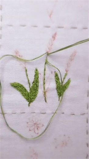 Stem stitch for delicate stems and leaves #basicstitches #beginnersstitch #handembroidery