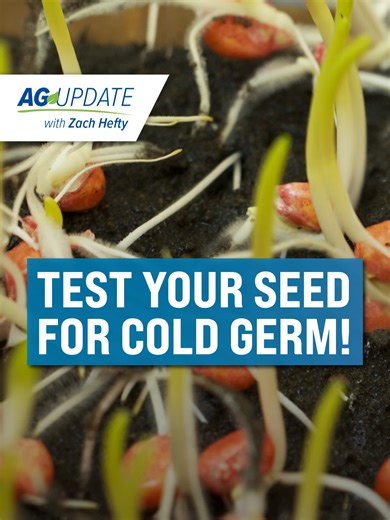 Testing Seeds for Cold Germination: A Complete Guide