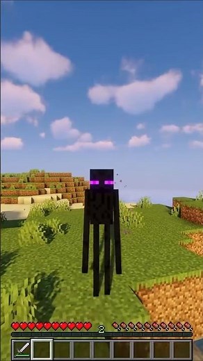 Minecraft ( Morph ) Mod #minecraft #shorts