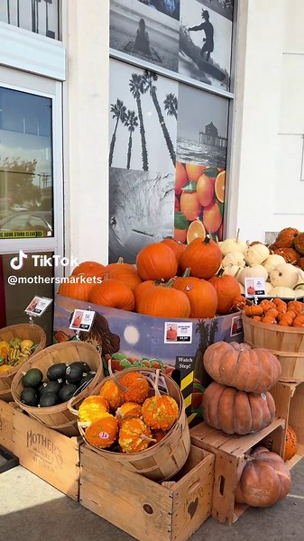 Pumpkin szn is here 🎃 come check out all the varieties of pumpkins we have in store! 🧡 #pumpkinseason #pumpkinpatch #psl #pumpkins #pumpkincarving