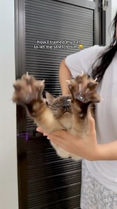 405K views · 17K reactions | Don't try this unless your cat trusts you  Here's how I trained my cat to enjoy being stretched  | TOFU | Facebook