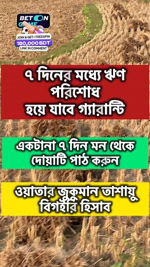 353K views · 2.6K reactions | The history of #photography began with...