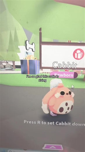 #adoptme #cabbit #tradinghub #rising #fyp | cabbit