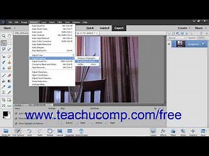 Photoshop Elements 2019 Tutorial Adjusting Brightness/Contrast Adobe Training