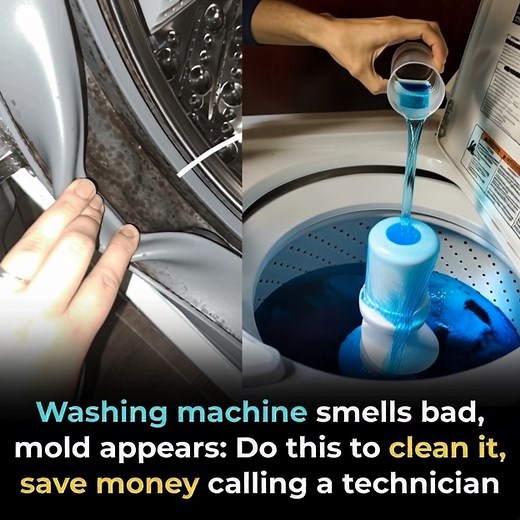 54K views · 19 reactions | Washing machine smells bad, mold appears: Do this to clean it, save money calling a technician | Video Clip | Facebook