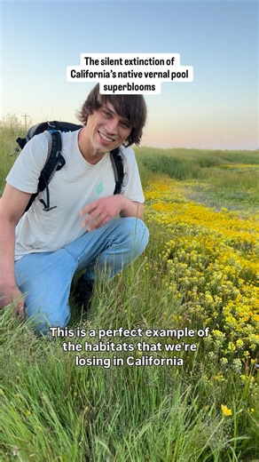 Jessie Dickson🌱 on Instagram: "Allowing a out of state energy company based in Wall Street to destroy a intact biodiversity hotspot home to old growth oaks and massive native wildflower superblooms is not green energy. It’s blatant capitalism , and textbook greenwashing. Turning Coyote Creeks massive vernal pool superblooms into a solar farm is a crime against Mother Nature. Developers want to destroy every inch of native land left in Sacramento county for profit. Even if it means using dynamit