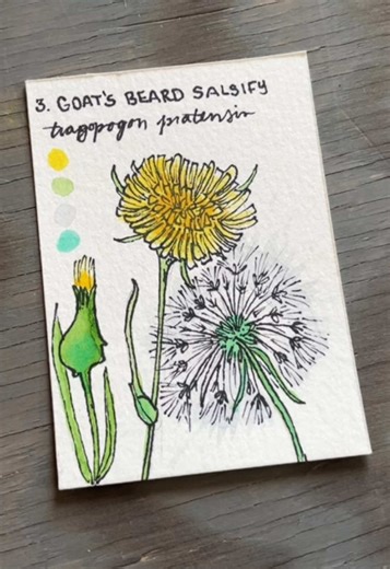 Exploring Flower Painting Trends: 5 New Ideas