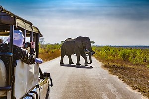 The 11 most incredible national parks in South Africa for wildlife, hiking and more - Lonely Planet