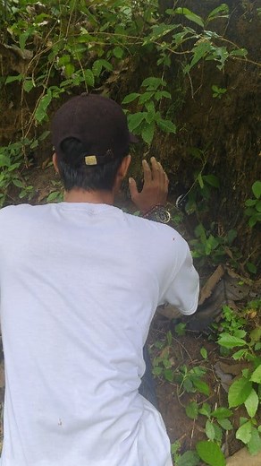 catching wild marmots 🦫🦫🦫 | Faisal Madura