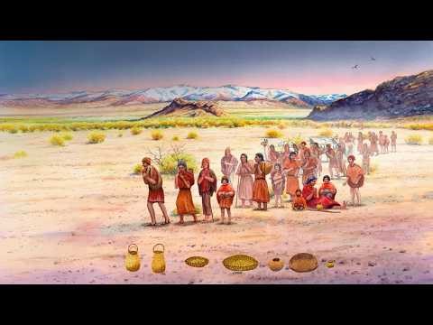 Farming Revolution: Ancient DNA Uncovers a Society's Struggle and Survival