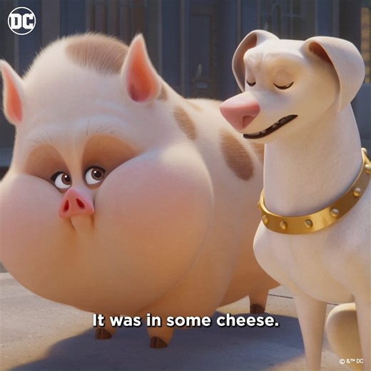 Happy National Pet Day 🐕 Celebrate with Krypto and the gang with this clip from the DC League of Super-Pets! | Warner Bros. Pictures