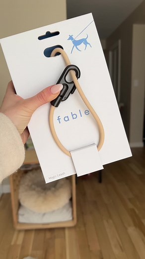 Upgrade Your Dog Walks with Fable Pets Hands-Free Leash