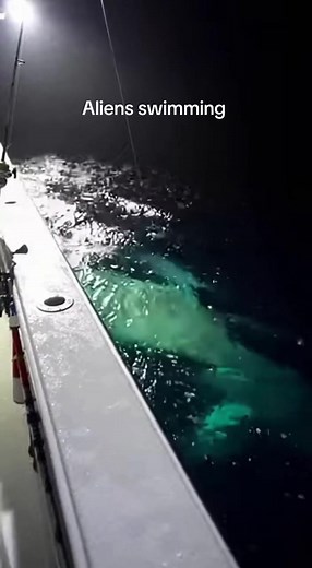 Alien Creatures in the Ocean: Thalassophobia Explained