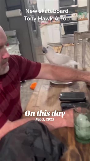 Buster's Exciting Toy Unboxing Adventure