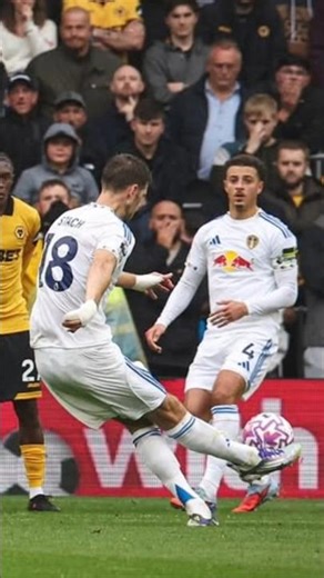 What a freekick!!! Wolves vs Leeds United, Anton Stach freekick goal #fyp #shorts #shortvideo