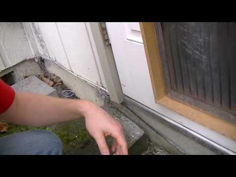 BEST DIY Dog Door EVER!!