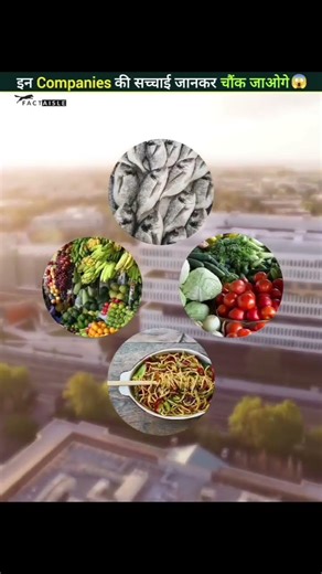 samas company facts 😱😱❤️