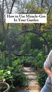 1.1K reactions · 693 comments | What works better than this stuff??? Natural things! Compost, leaf mold, earthworm castings There are sooo many natural ways to boost your plant’s growth besides synthetic fertilizers. Comment SECRET to get my Soil recipe sent to your DMs for free to start building your own soil without synthetics. | Gardenary | Facebook