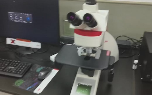 Leica DM4B高分辨荧光显微镜操作