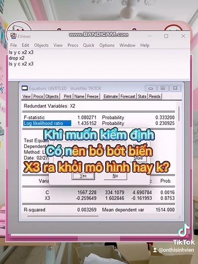 HƯỚNG DẪN SỬ DỤNG PHẦN MỀM EVIEW (Phần 10)