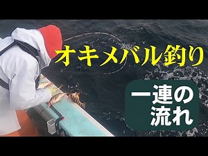 【オキメバル釣り】一連の流れを解説します 2025/3