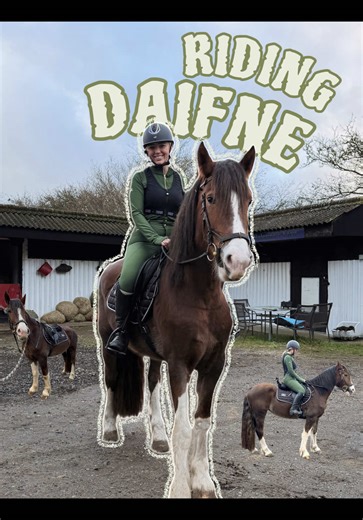 Riding Daifne: A Steady Return to Horse Training