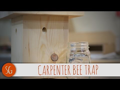 How to make a carpenter bee trap with removable jar!