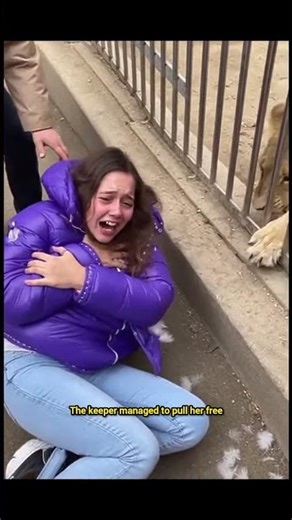 😱 CLOSE CALL: Lion Grabs Child at China Zoo!