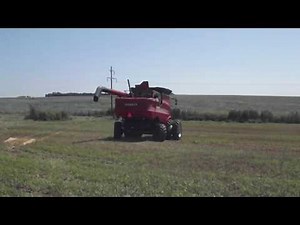 8010 Case IH Combine