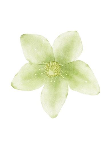 Haz Bailar Imágenes o tu Silicona | Tutorial